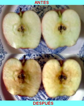 Oxidacion de la manzana